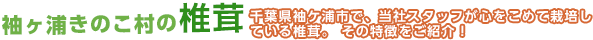 袖ヶ浦きのこ村の椎茸