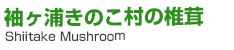 袖ヶ浦きのこ村の椎茸